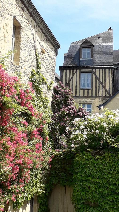 Petite Maison Romantique Au Calme, Coeur Historique Plantagenet, Vue Ville Le Mans Dış mekan fotoğraf