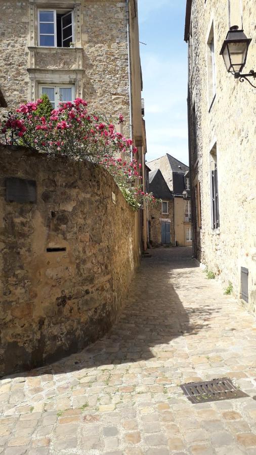 Petite Maison Romantique Au Calme, Coeur Historique Plantagenet, Vue Ville Le Mans Dış mekan fotoğraf